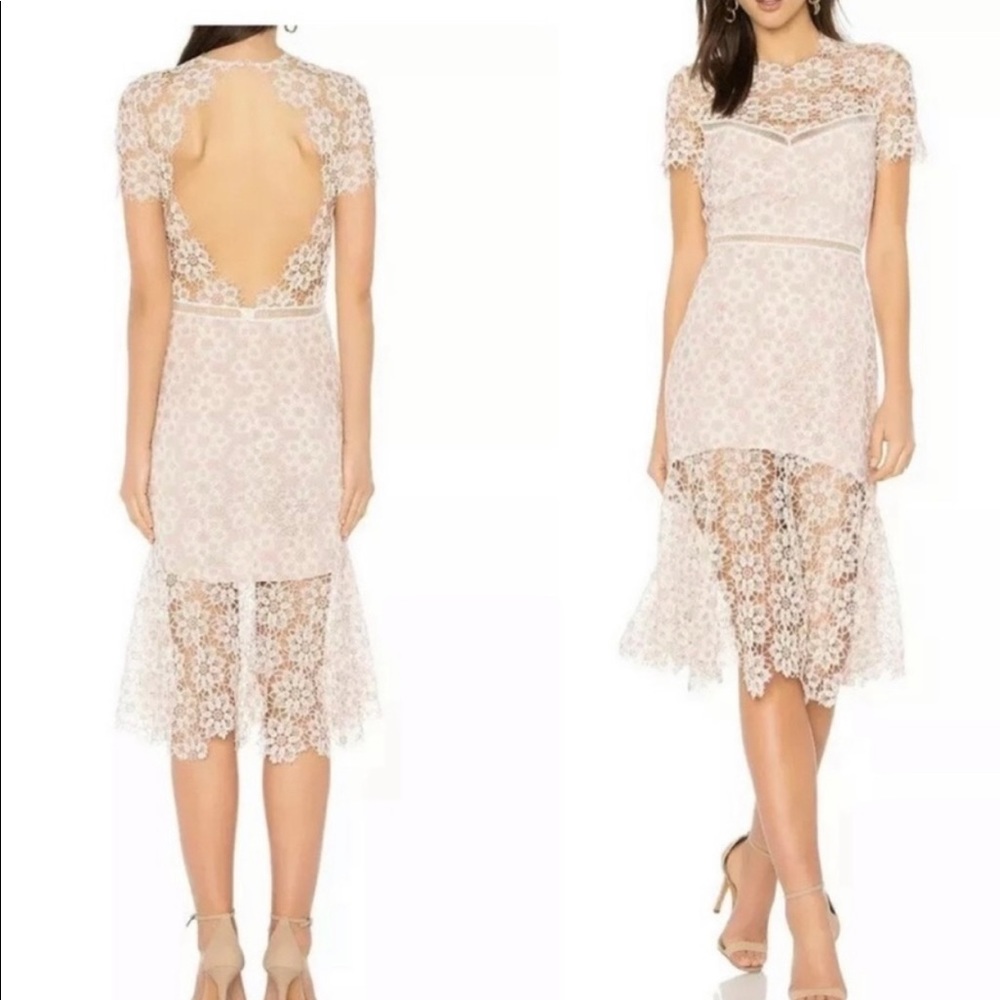 SAYLOR dress. brand new with tags-Lillie Dress in blush and ivory